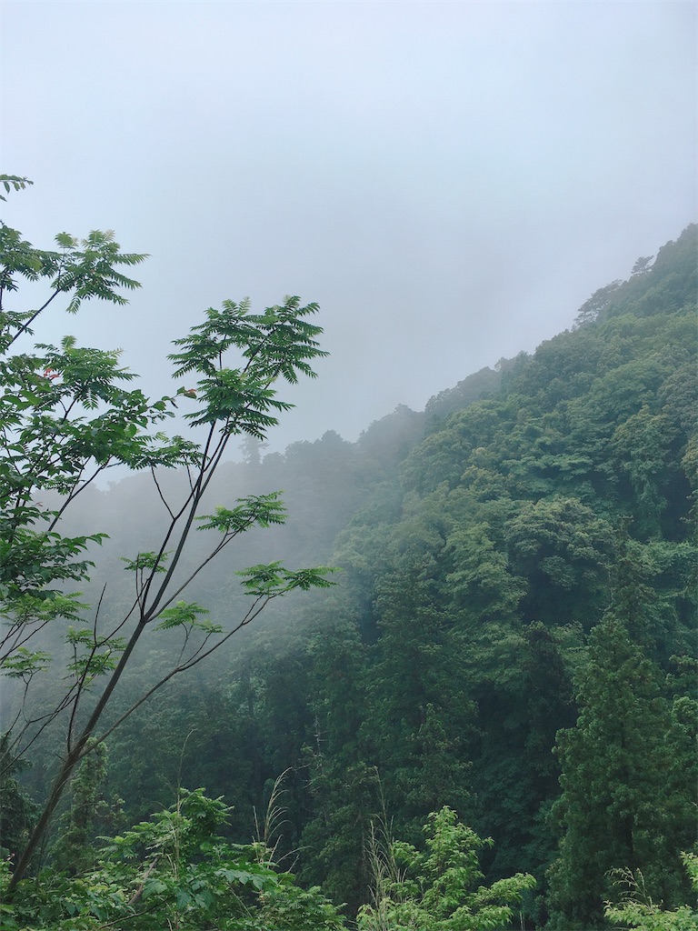 f:id:yogao:20200627103711j:image f:id:yogao:20200627103711j:image