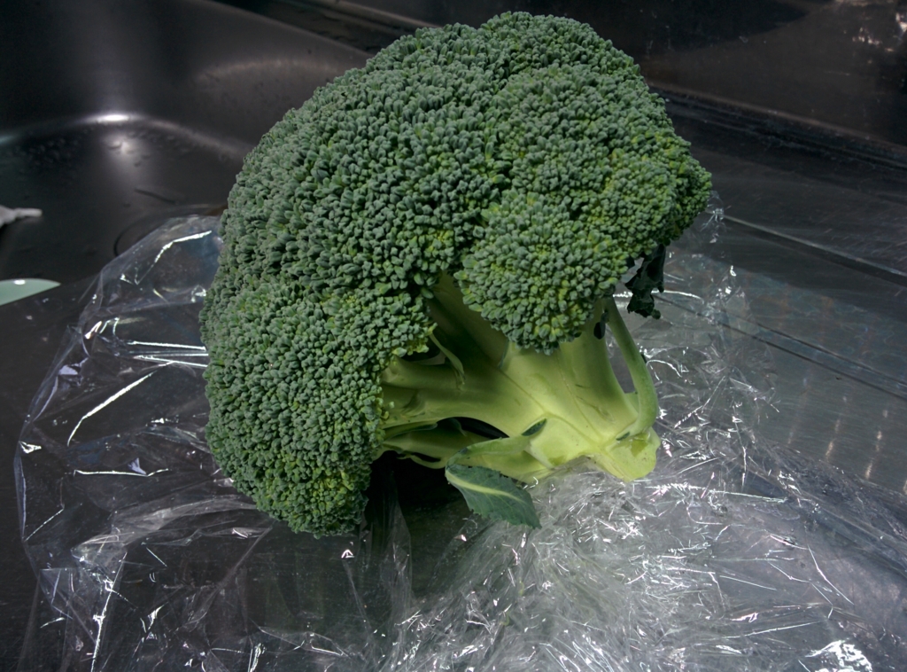 f:id:yogaroomfeeling:20170325200825j:plain