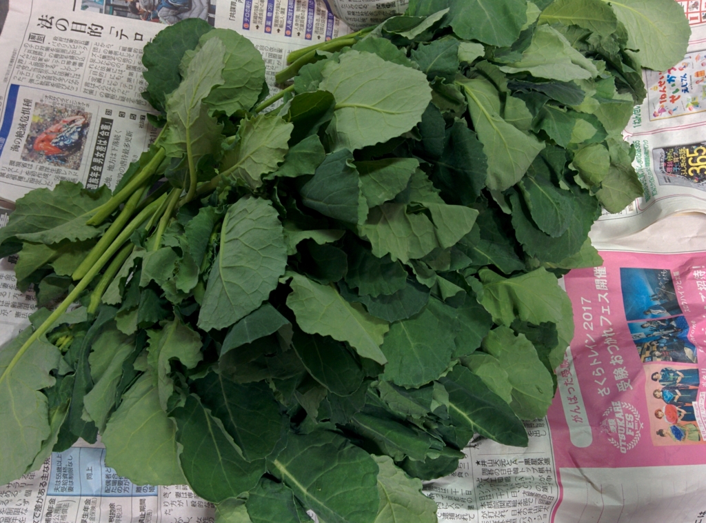 f:id:yogaroomfeeling:20170325201008j:plain