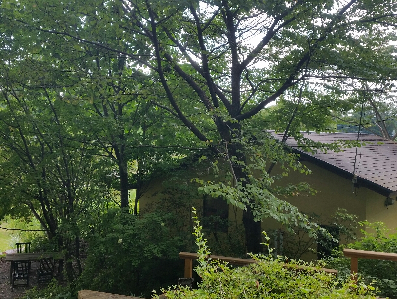 f:id:yogiyogi-lily:20180810180005j:plain