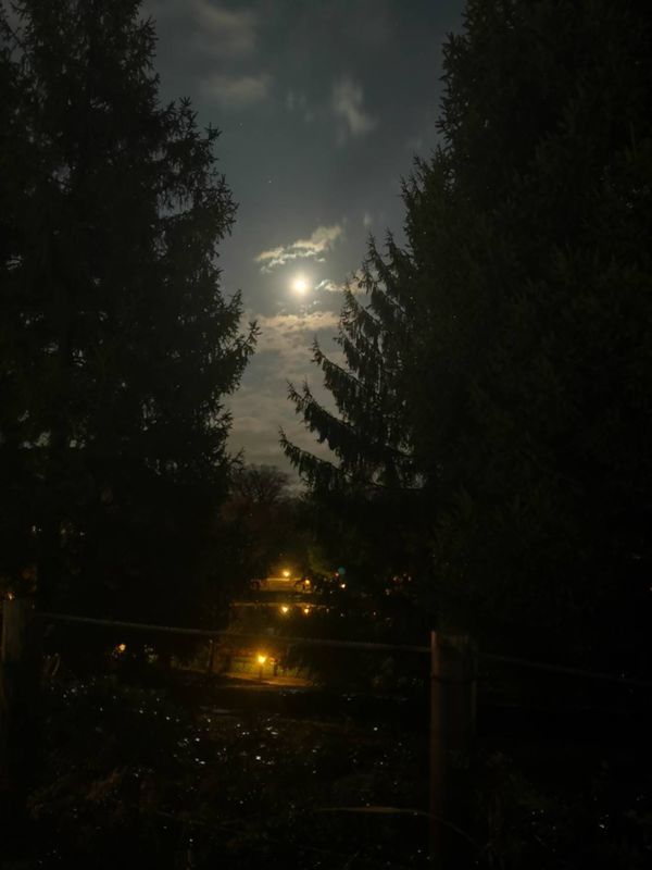 呉羽山公園 都市緑化植物園なのに緑が少な過ぎるでしょ 非公式富山ブログ しっとんがけ