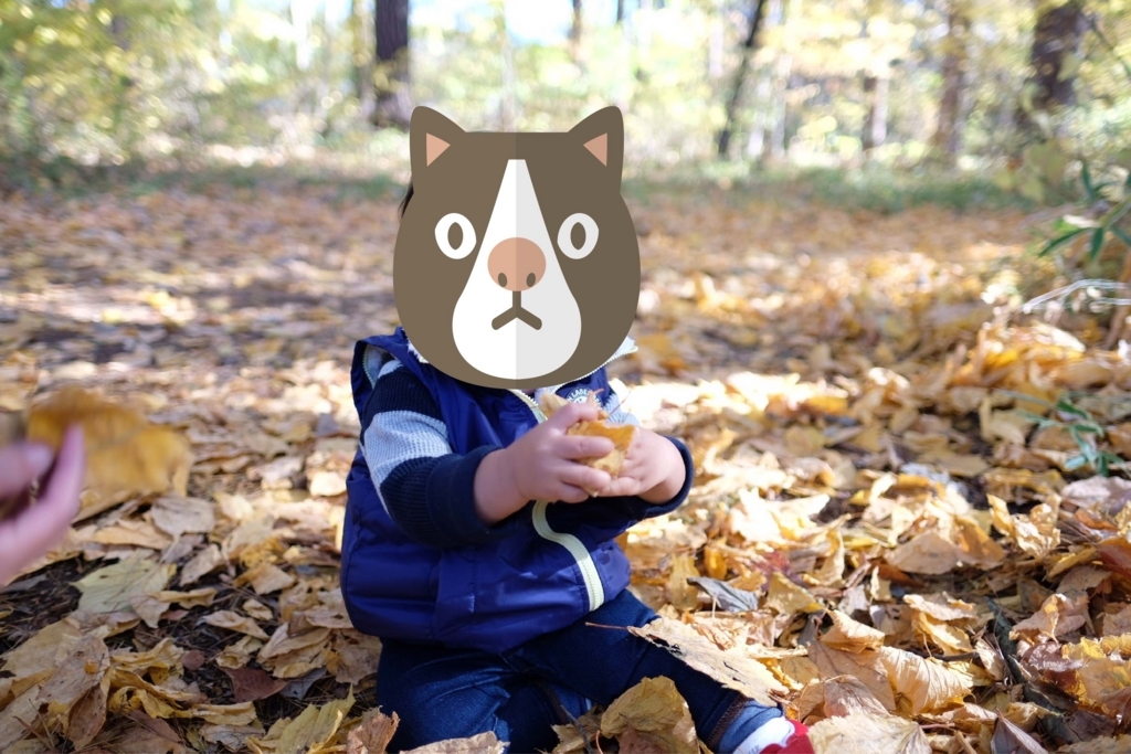 f:id:yohane83:20171110115153j:plain