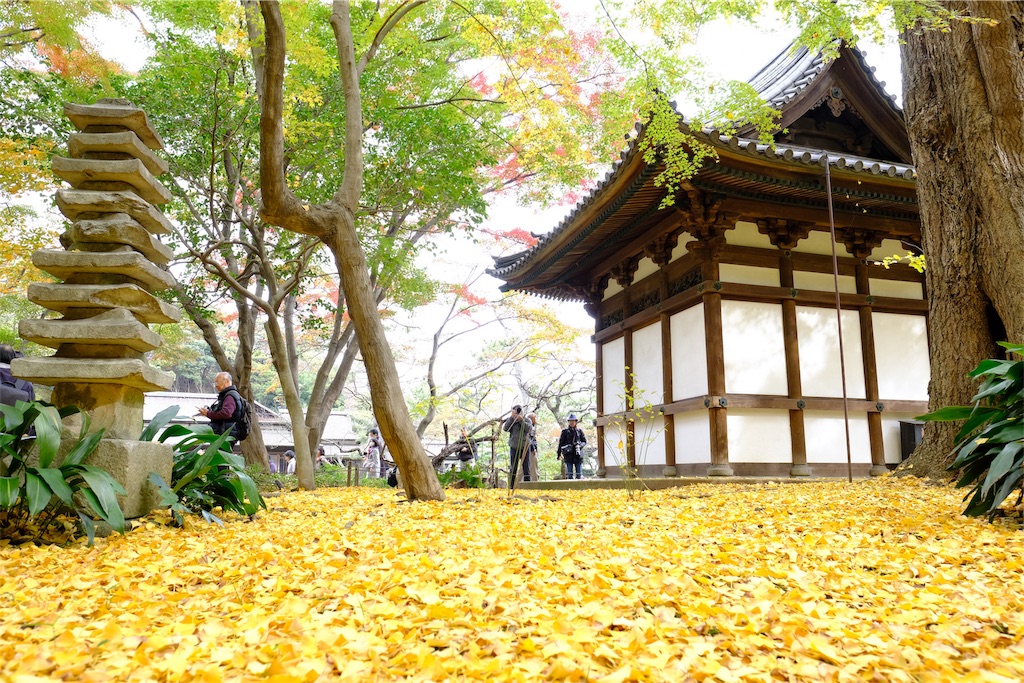 f:id:yohane83:20181203104007j:image