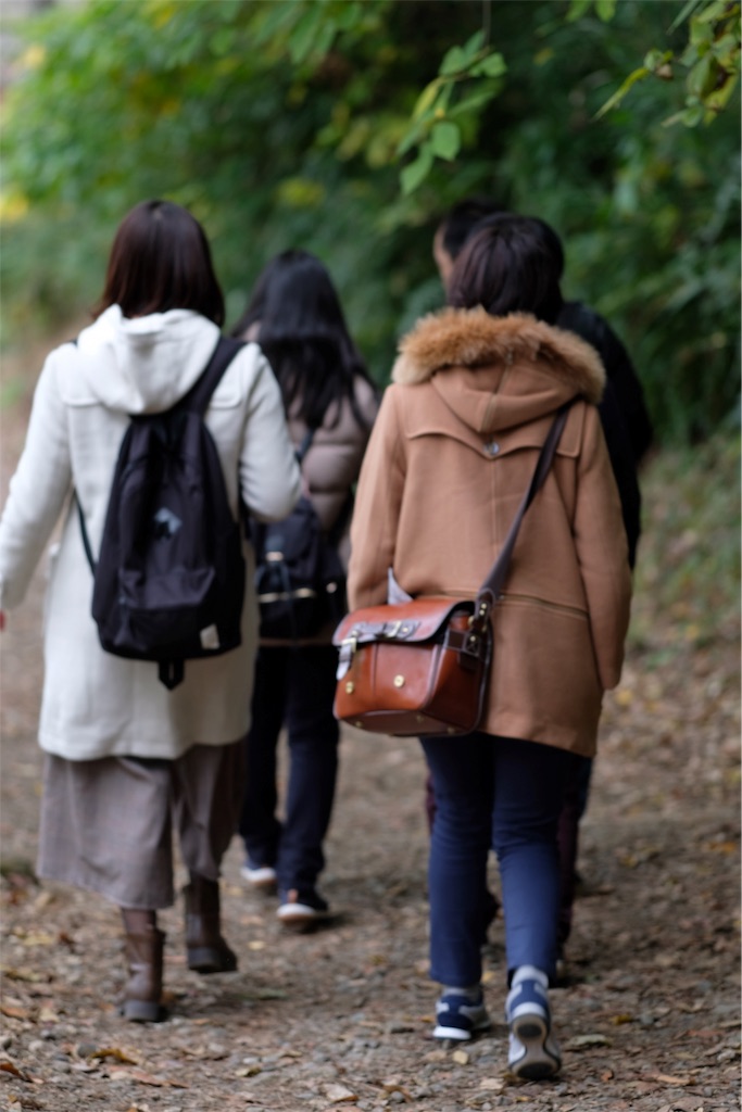 f:id:yohane83:20181203104123j:image