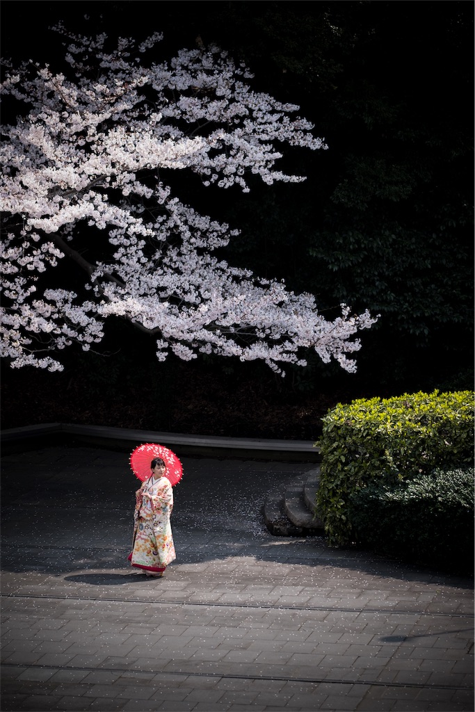 f:id:yohane83:20190427172423j:image