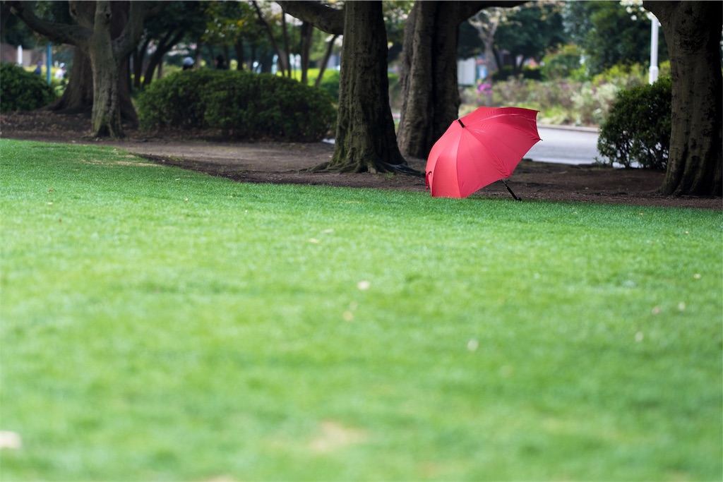 f:id:yohane83:20190427172427j:image