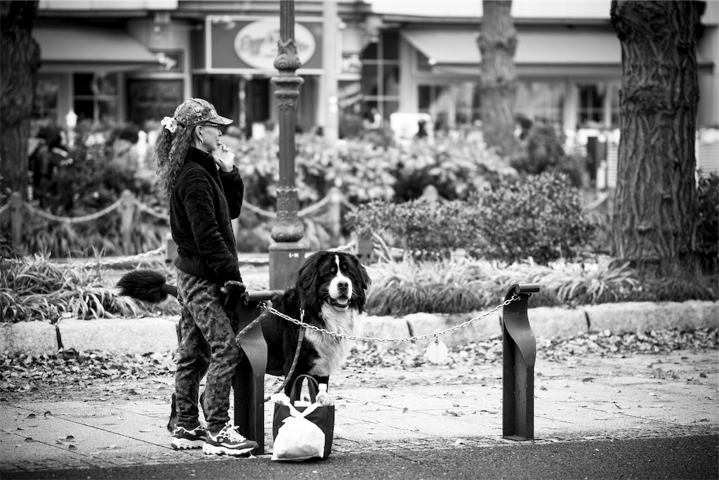 f:id:yohane83:20190427172431j:image