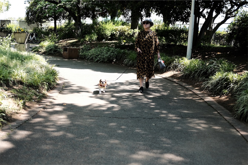 f:id:yohane83:20190517210748j:image