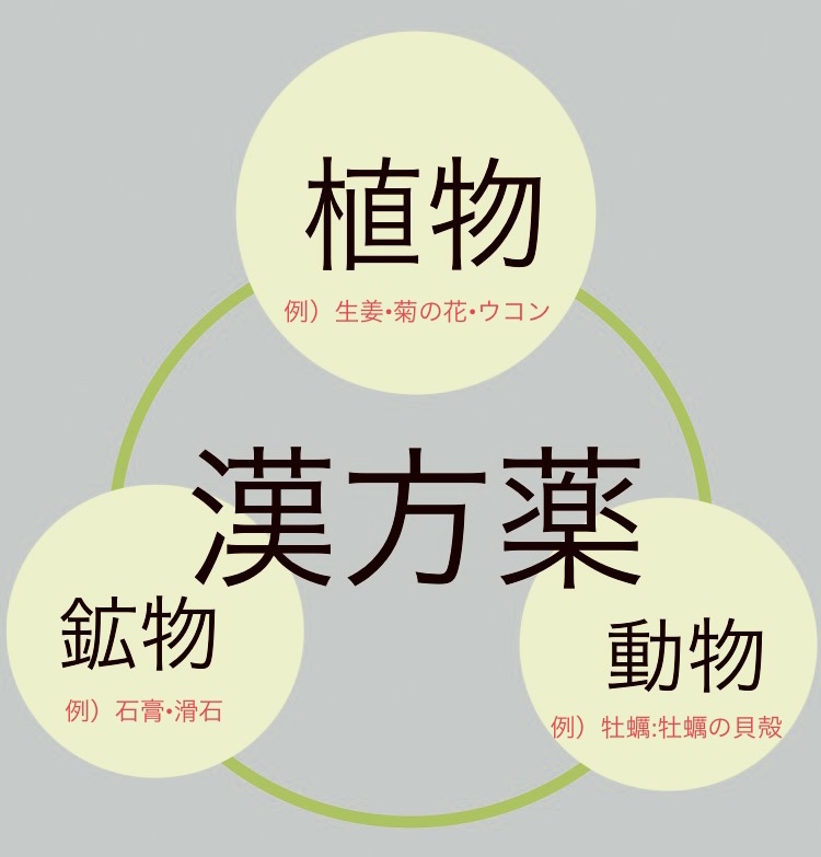 f:id:yohdwalkaround:20201218150731j:plain