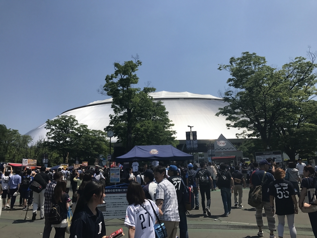 f:id:yoheeee:20190108004454j:plain