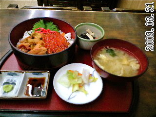 f:id:yohei-a:20090331195941j:image