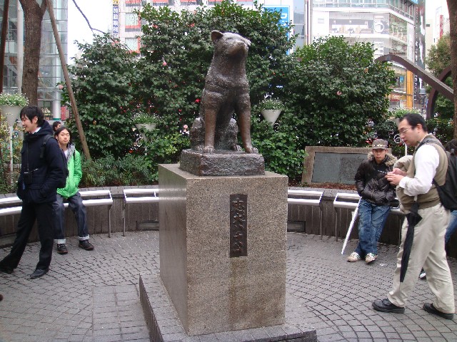 個別「渋谷忠犬ハチ公像」の写真、画像 - ギャラリー - YOHEIのフォトライフ