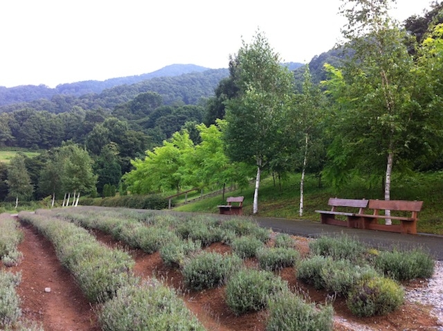 f:id:yoheiM:20110814161125j:image f:id:yoheiM:20110814161125j:image