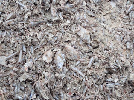 f:id:yohhoi:20190923164126j:plain