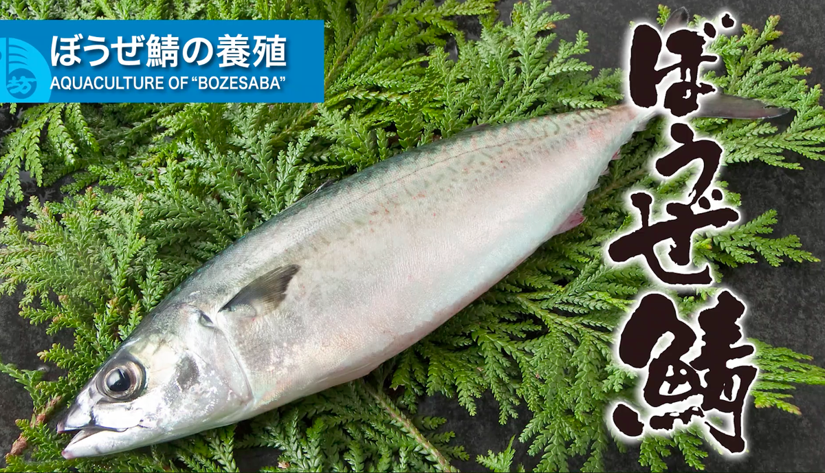 f:id:yohhoi:20190923164255p:plain