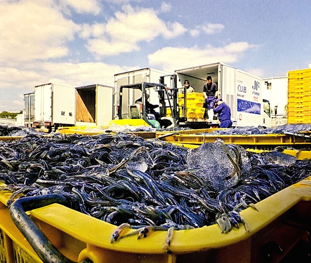 f:id:yohhoi:20190923165746j:plain