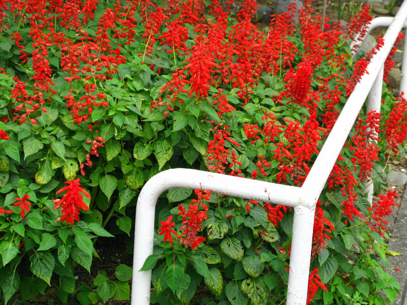 f:id:yohii:20091014205051j:image f:id:yohii:20091014205051j:image