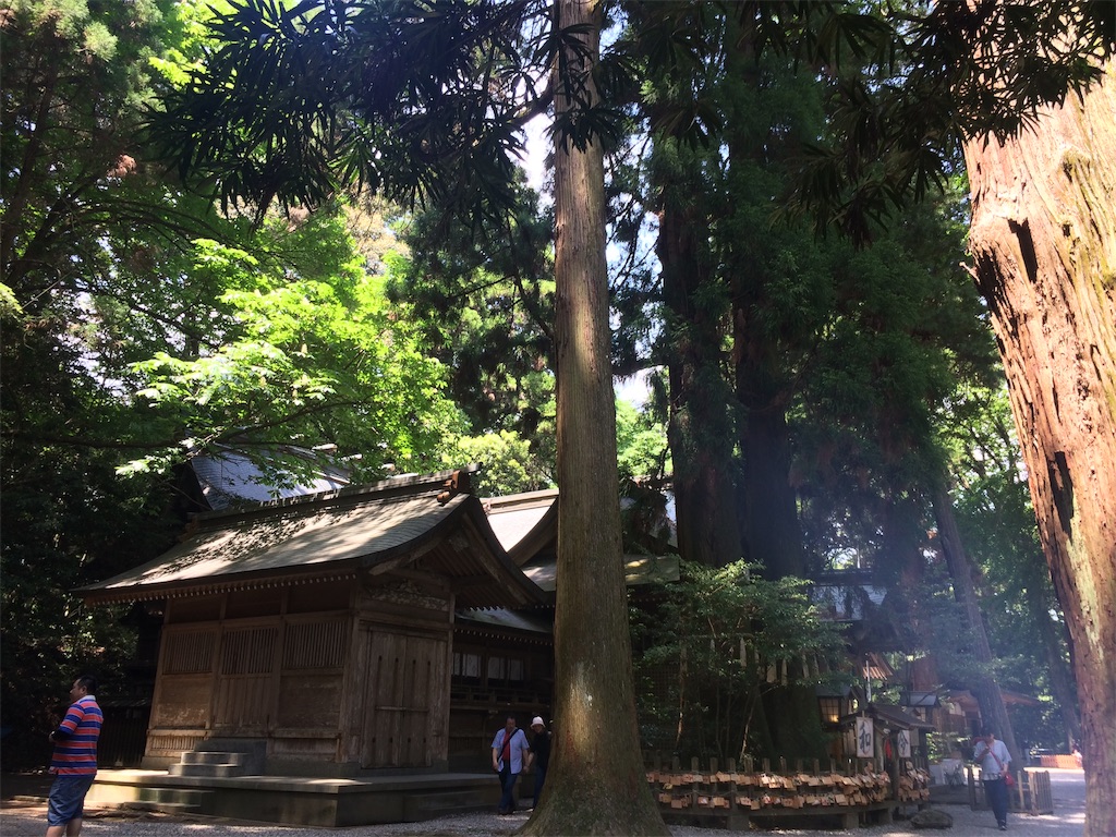 f:id:yohtam:20190521105506j:plain f:id:yohtam:20190521105506j:plain