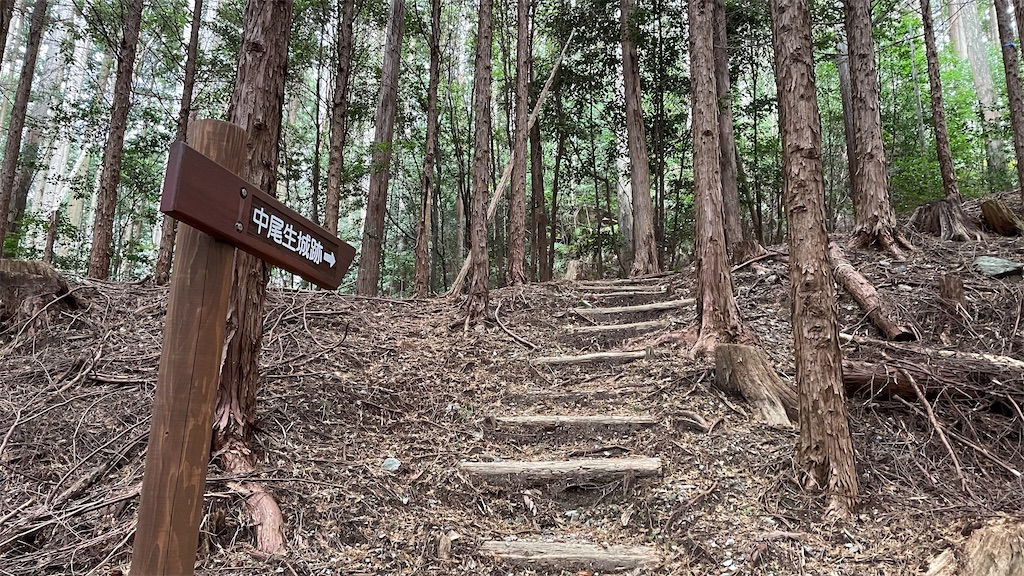 f:id:yohzo:20221207220615j:image