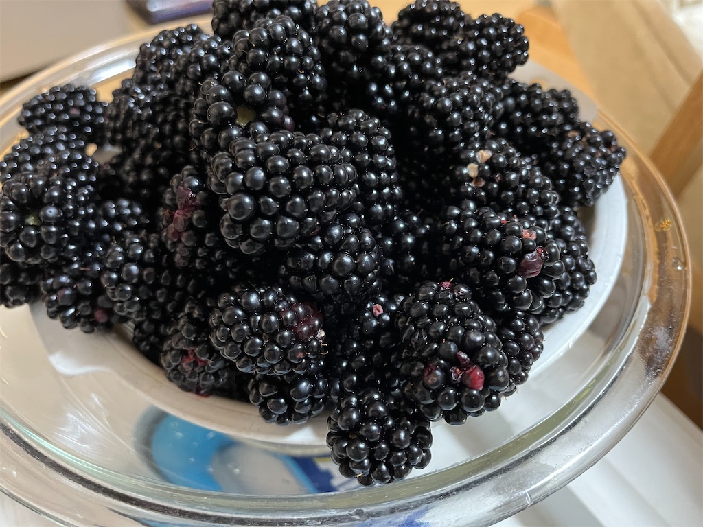f:id:yohzo:20230715112024j:image