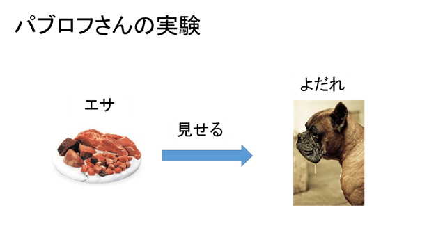 f:id:yoichi-15-jp:20170128115548p:plain