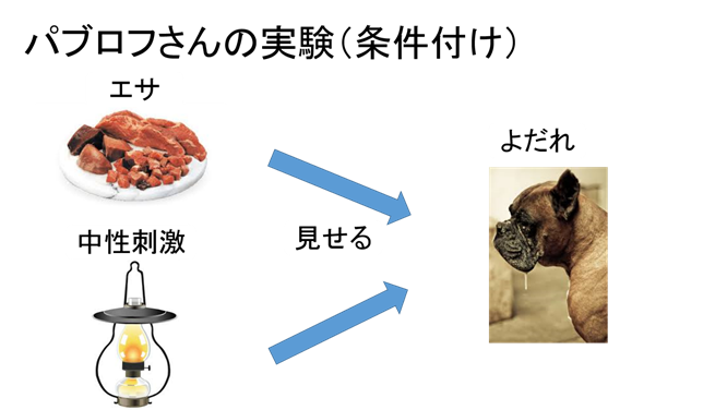 f:id:yoichi-15-jp:20170128115623p:plain