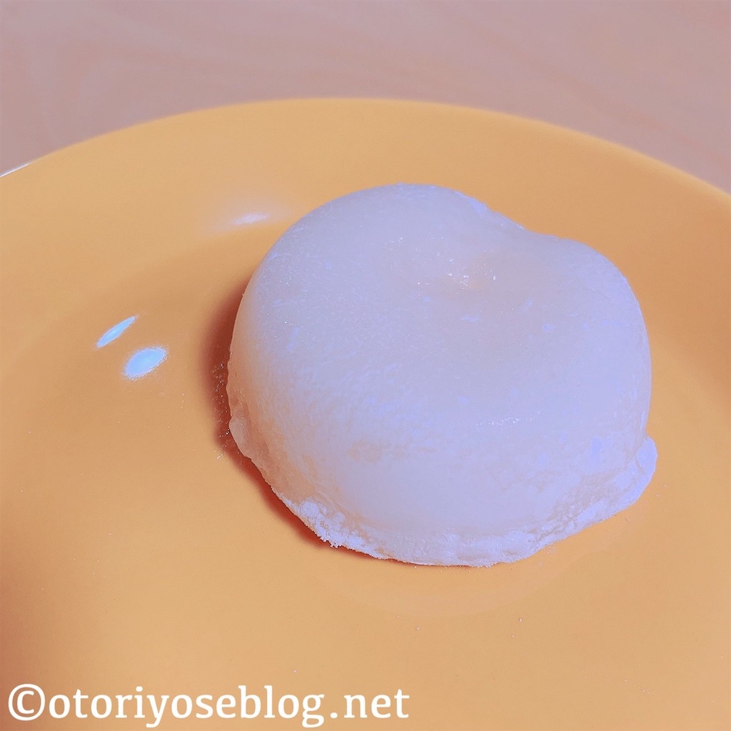 f:id:yoikurashiblog:20210720172206j:image