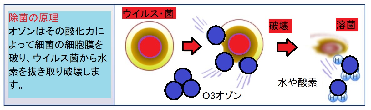 f:id:yoimonotachi:20210121151317j:plain