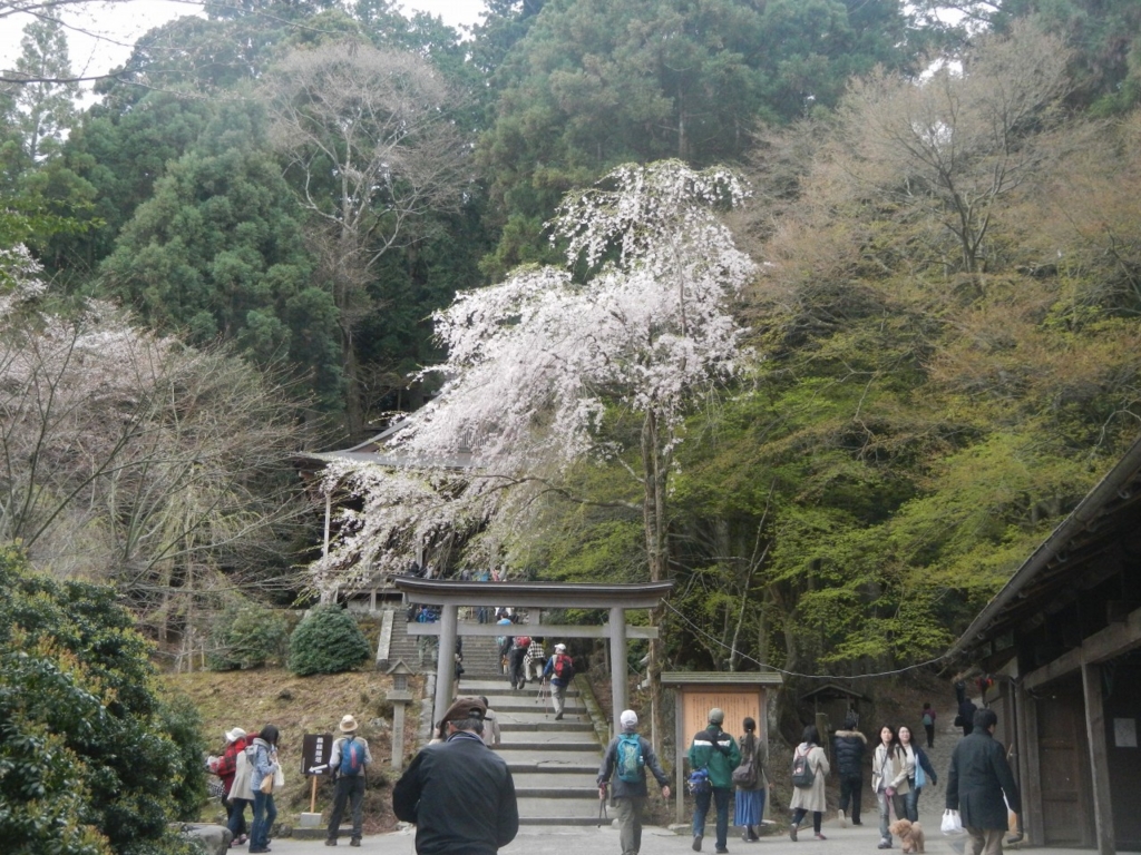 f:id:yoiyoi-kawakami:20170315155135j:plain f:id:yoiyoi-kawakami:20170315155135j:plain