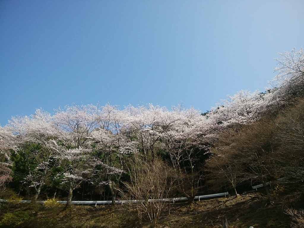f:id:yoiyoi-kawakami:20180401224500j:plain f:id:yoiyoi-kawakami:20180401224500j:plain
