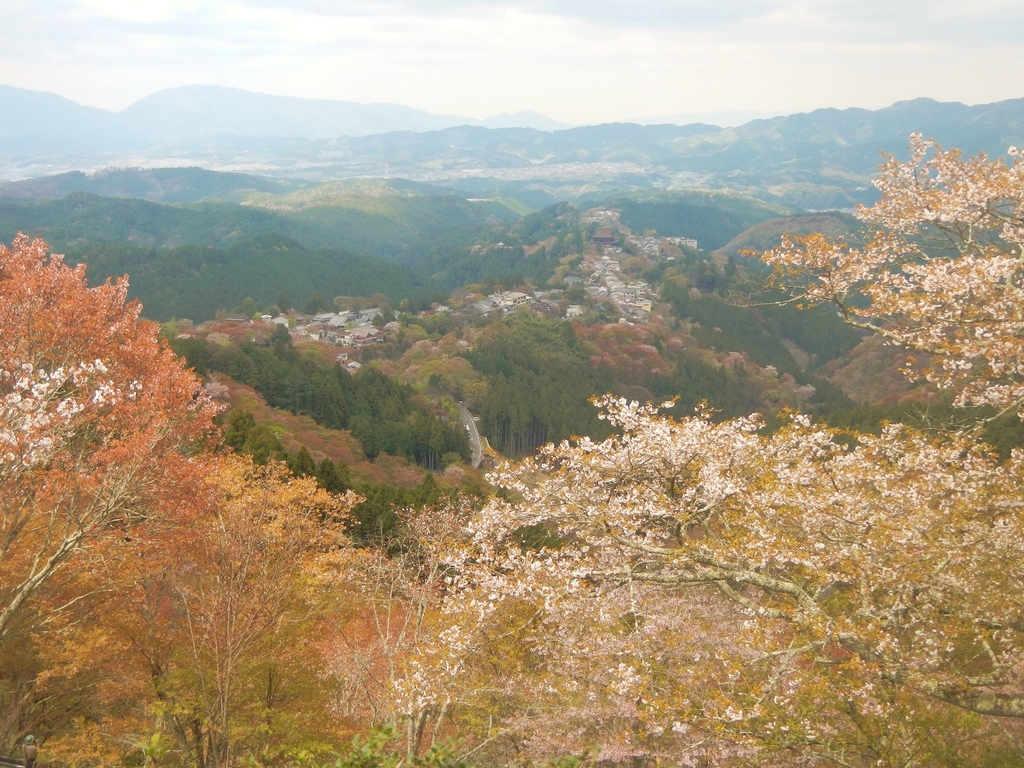 f:id:yoiyoi-kawakami:20190223175927j:plain f:id:yoiyoi-kawakami:20190223175927j:plain