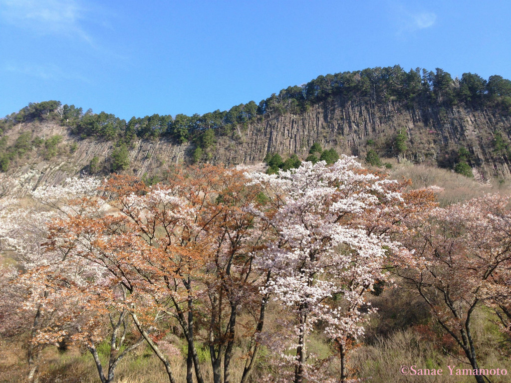 f:id:yoiyoi-kawakami:20190311133047j:plain f:id:yoiyoi-kawakami:20190311133047j:plain