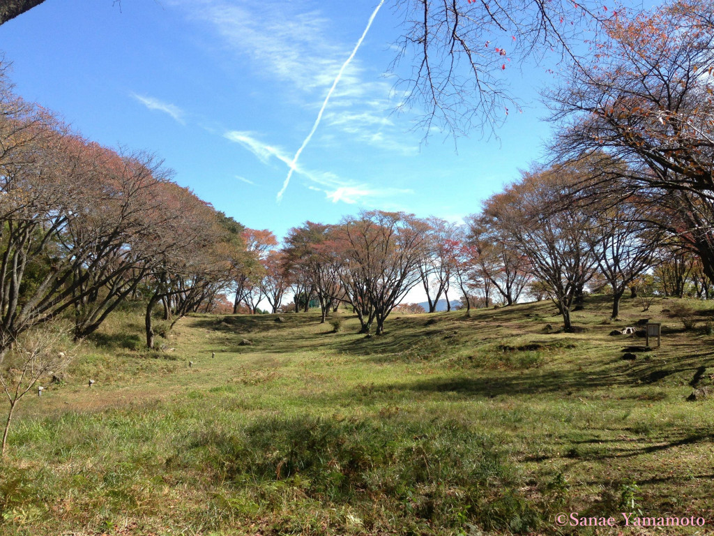 f:id:yoiyoi-kawakami:20190311133102j:plain f:id:yoiyoi-kawakami:20190311133102j:plain