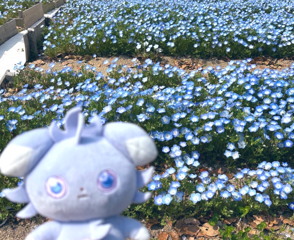 f:id:yojo_takusan:20250408145426j:image f:id:yojo_takusan:20250408145426j:image