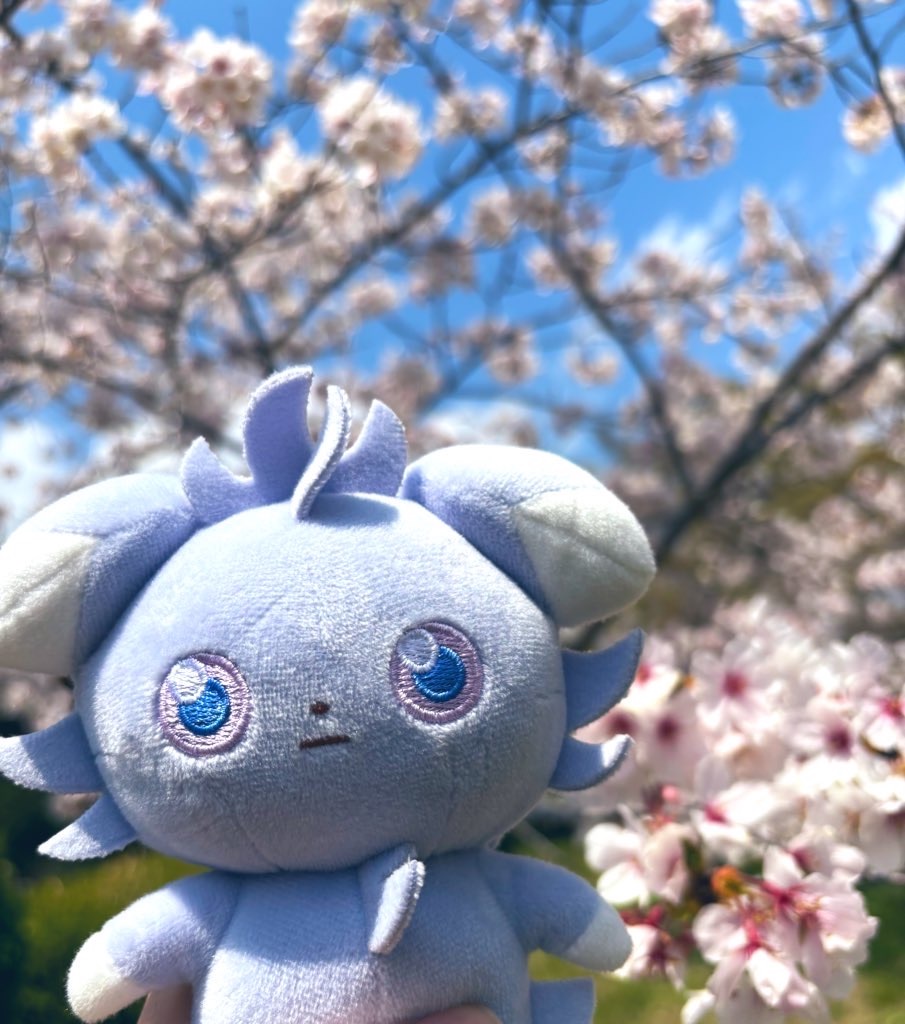 f:id:yojo_takusan:20250408145431j:image f:id:yojo_takusan:20250408145431j:image