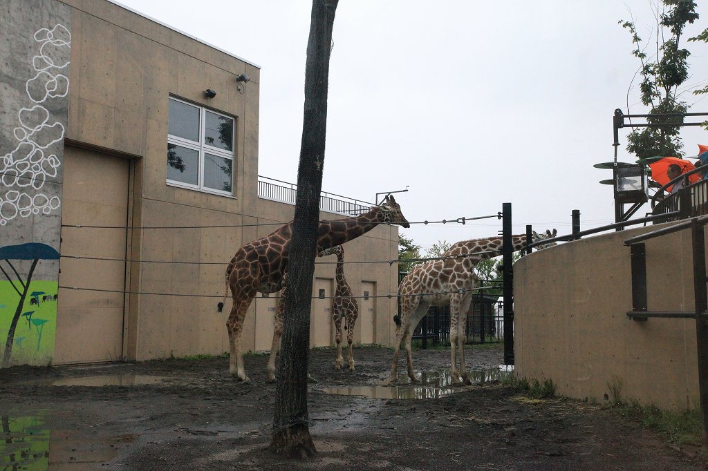 f:id:yokacam:20190825005426j:plain