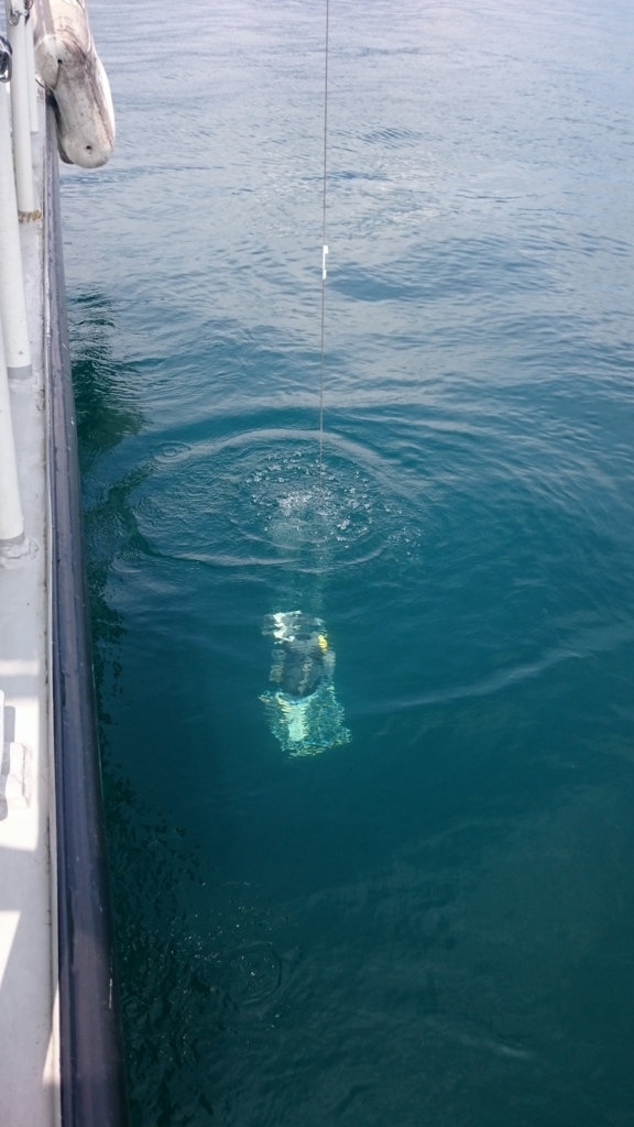 f:id:yokazaki:20160818205705j:plain