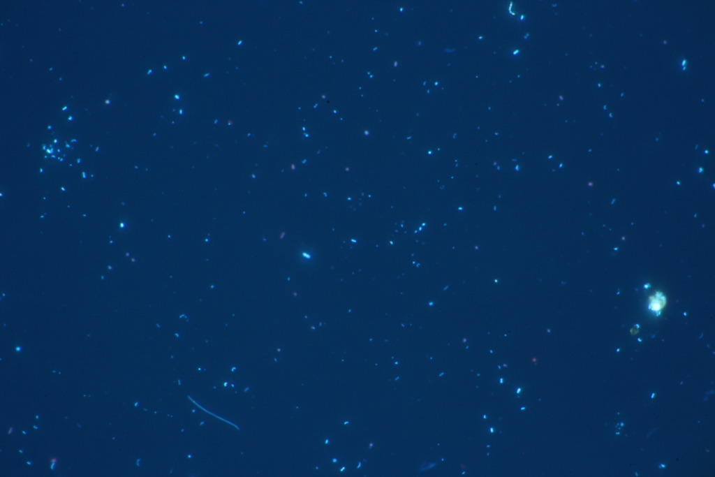 f:id:yokazaki:20160818210519j:plain