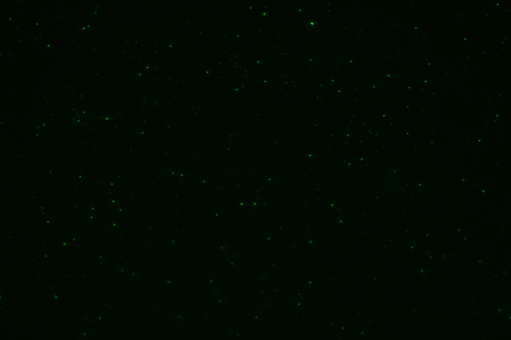 f:id:yokazaki:20160818211113j:plain