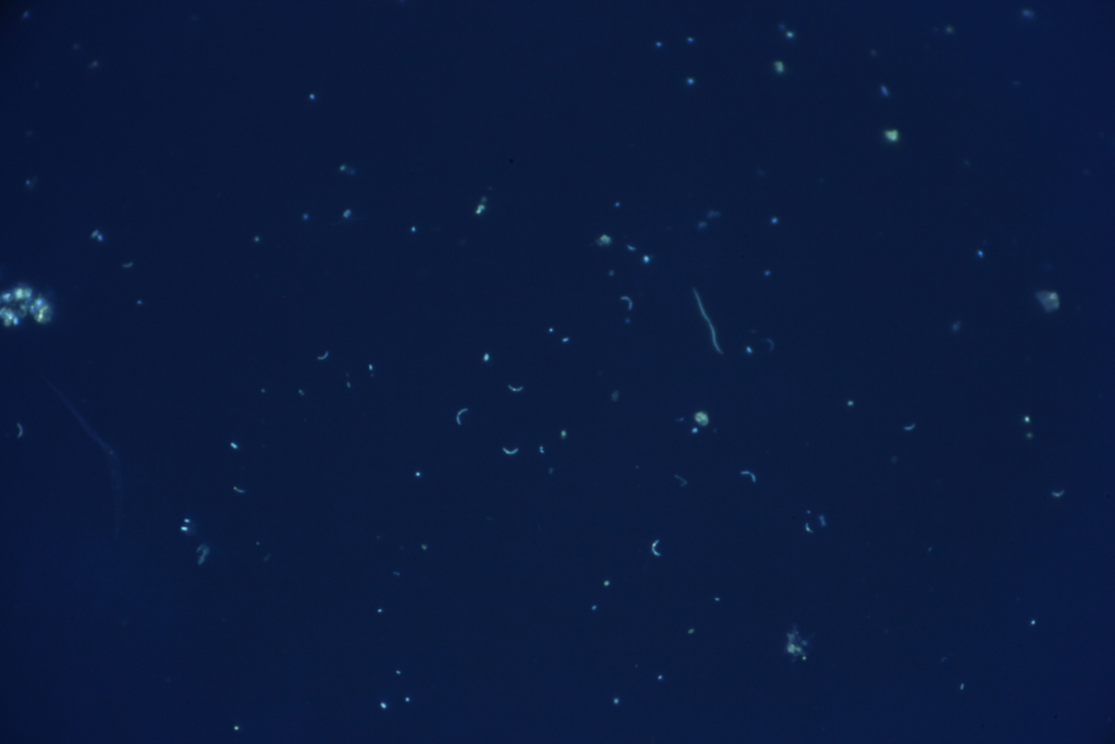 f:id:yokazaki:20161011194532j:plain