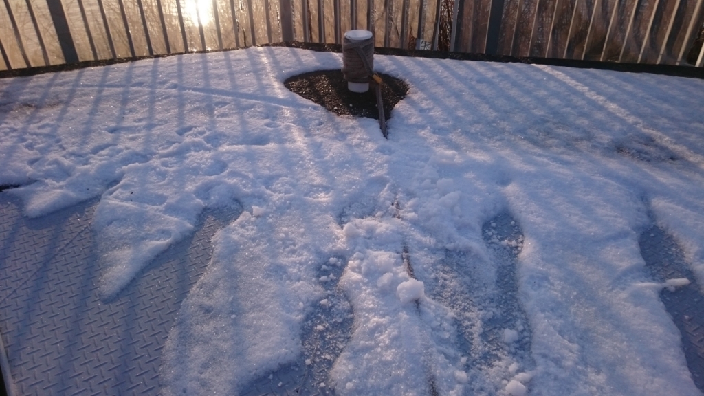 f:id:yokazaki:20170118173837j:plain f:id:yokazaki:20170118173837j:plain