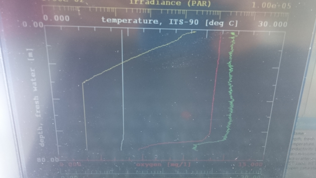 f:id:yokazaki:20170118180056j:plain f:id:yokazaki:20170118180056j:plain