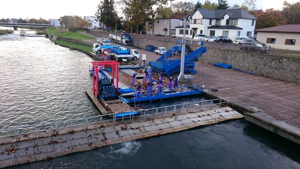 f:id:yokazaki:20181021220448j:plain