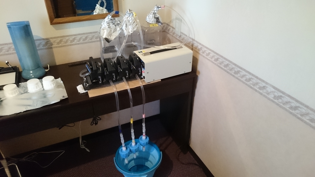 f:id:yokazaki:20181021230953j:plain