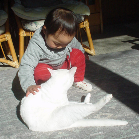 f:id:yokazerecord:20040118125345j:image:w360