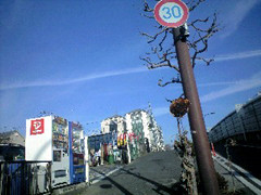 f:id:yokazerecord:20090109124305j:image