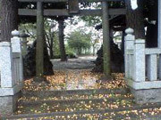 f:id:yokazerecord:20091008081056j:image