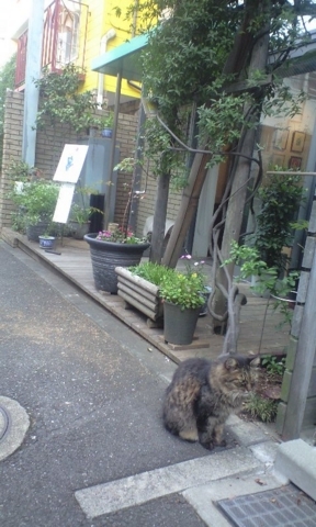 f:id:yokazerecord:20121020153435j:image