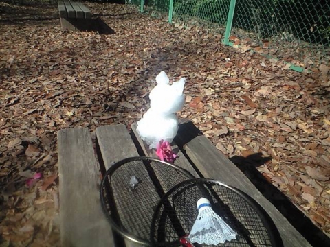 f:id:yokazerecord:20150131114150j:image:w240