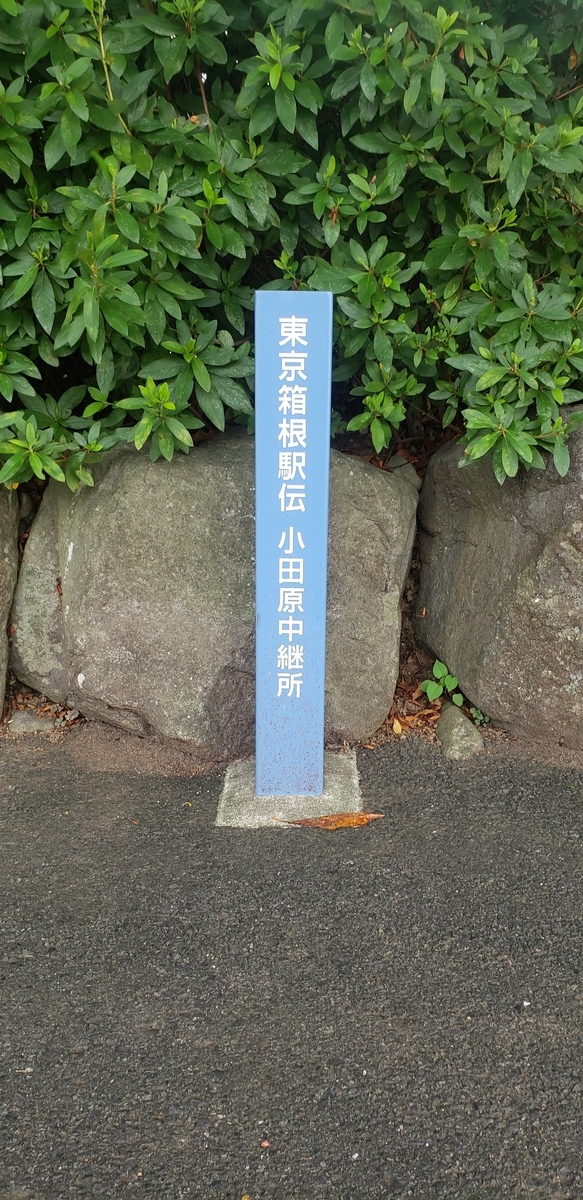 f:id:yokiblog:20190821195623j:plain f:id:yokiblog:20190821195623j:plain